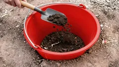 なぜ畝の真ん中にバケツを埋めるのか：意外と知られていない園芸家の裏ワザ