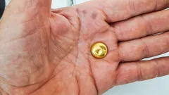 ゴミの中の宝物：古い機器から金を取り出す方法とは？